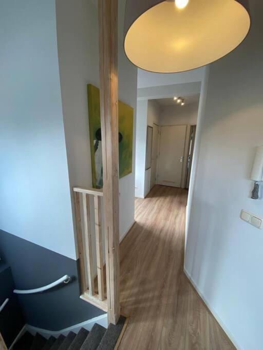 Beach Nearby, Close To Amsterdam, The Hague -6P فاسّينار المظهر الخارجي الصورة