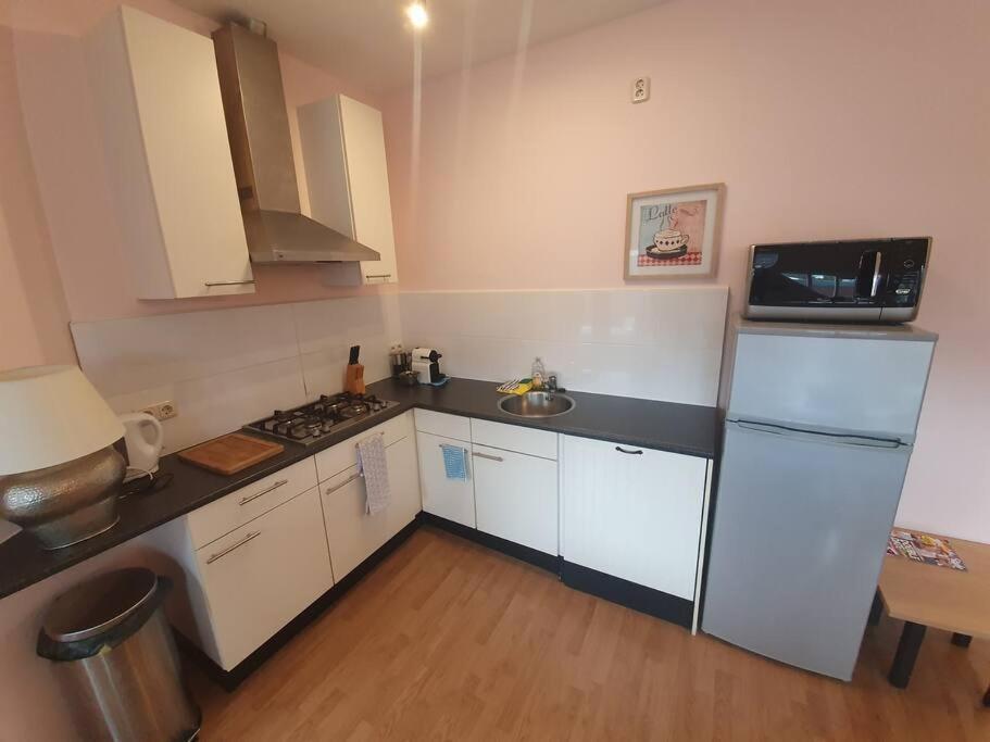 Beach Nearby, Close To Amsterdam, The Hague -6P فاسّينار المظهر الخارجي الصورة